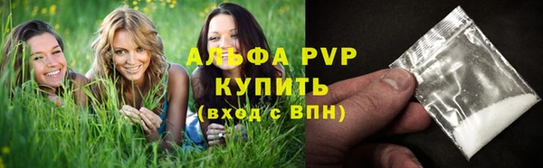 ГАЛЛЮЦИНОГЕННЫЕ ГРИБЫ Вязьма